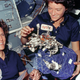 Illustration for article titled Getting Stuck Inside This Tiny Ball Was Part of Each NASA Astronauts Training